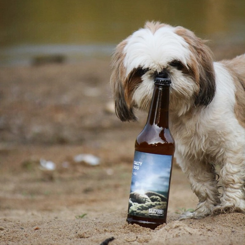 собака и пиво
