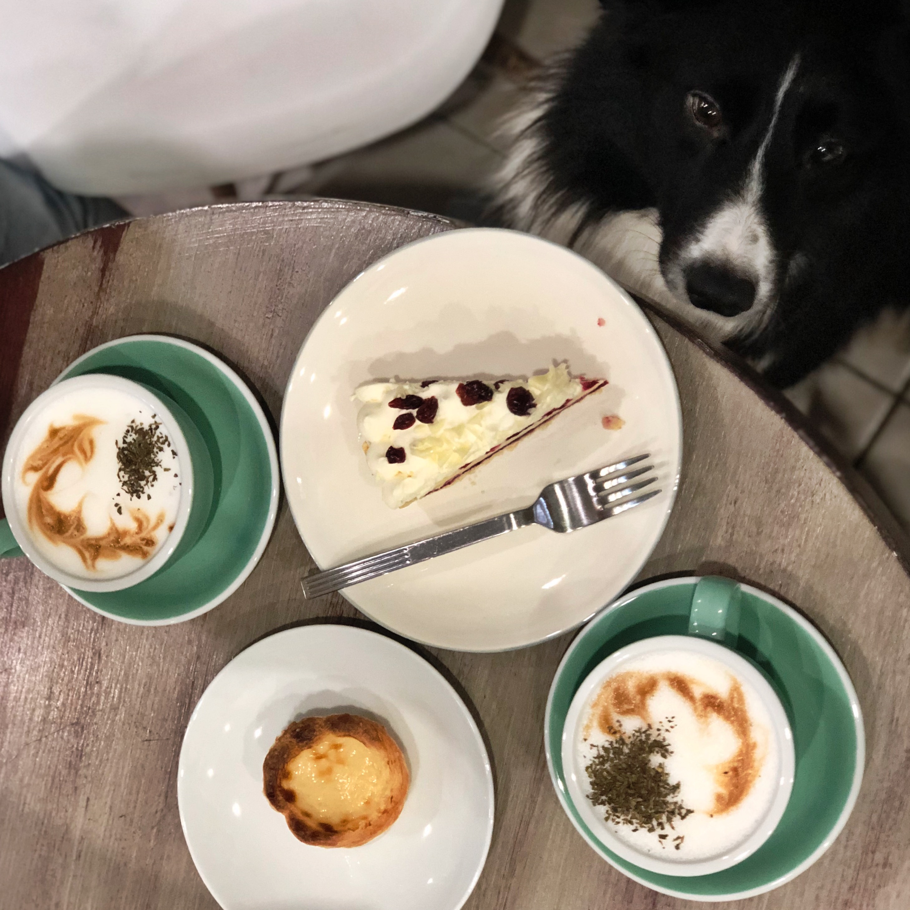кофе, десерты и собака