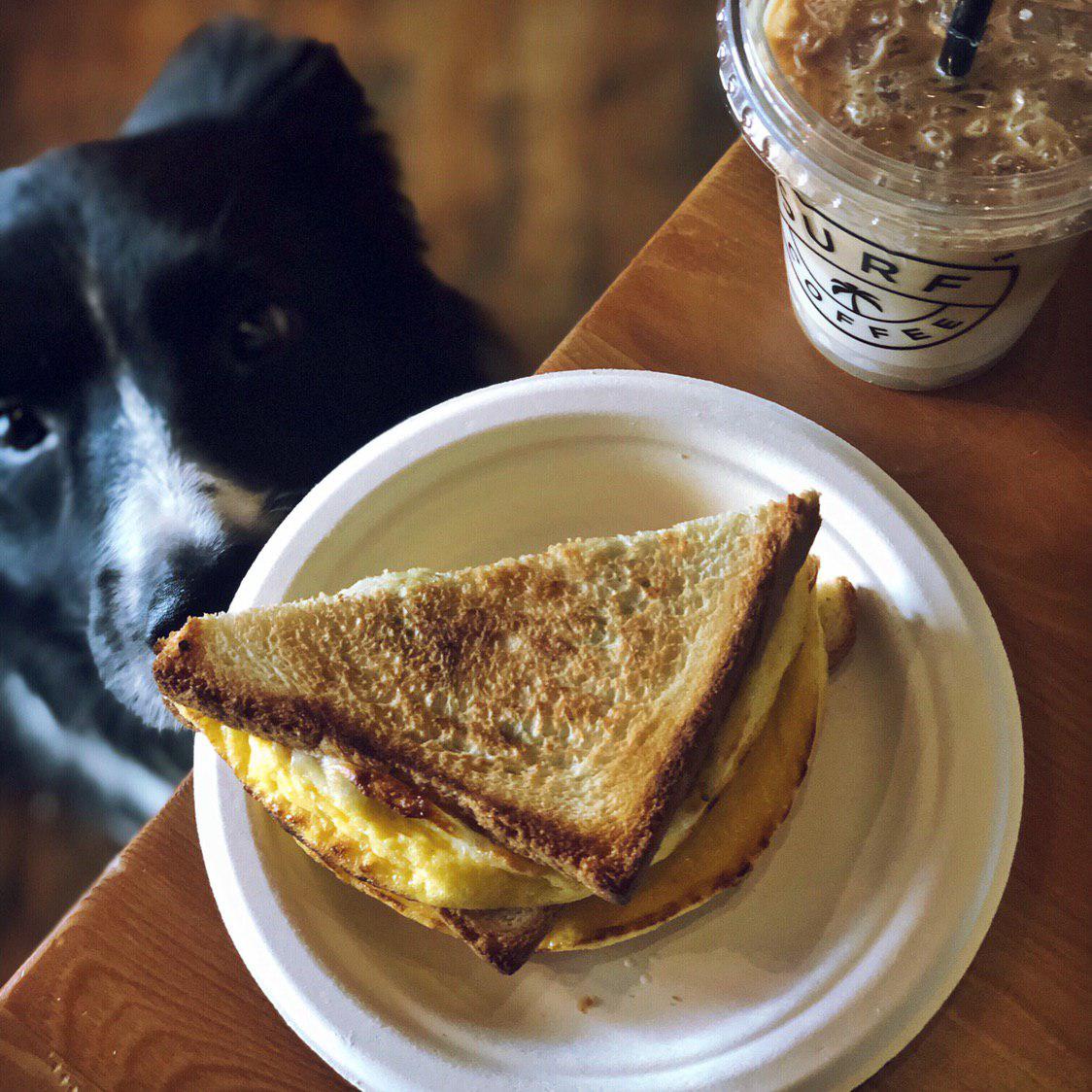 собака и сендвич